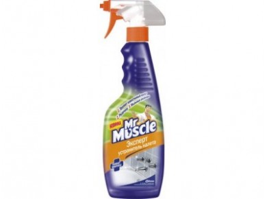 Чистящее средство MR. MUSCLE Эксперт, 500мл
