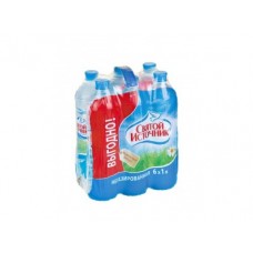 Минеральная вода СВЯТОЙ ИСТОЧНИК негазированная, 1л, 6 штук